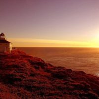 Bus & Minivan Tours