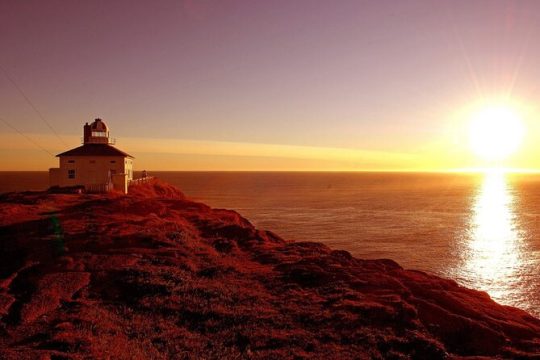 Valentine's Day in St John's