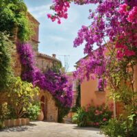 Cultural Tours