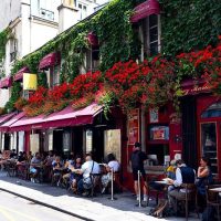 Street Food Tours