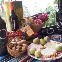 Wine Tasting & Winery Tours