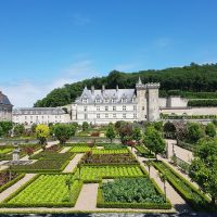 Half-day Tours