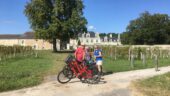 Excellent cycle tour along the Loire, includes great lunch and wine tasting