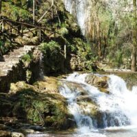 Hiking & Camping
