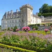 Full-day Tours