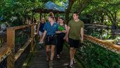 Daintree tour