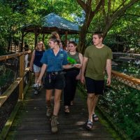 Sustainable Tours