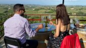 Very interesting tour and well-groomed wine tasting in a great location
