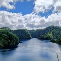 Eco Tours