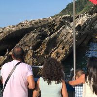 Boat Tours