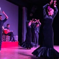 Flamenco