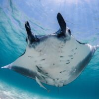 Cruises, Sailing & Water Tours