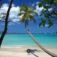 Ports of Call Tours