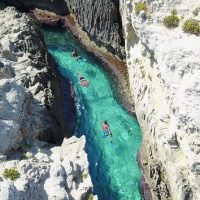 Half-day Tours