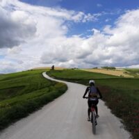 Wine Tasting & Winery Tours