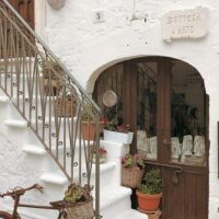 Coffee & Tea Tours