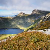 Private Sightseeing Tours
