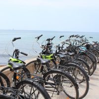 Bike & Mountain Bike Tours