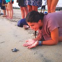 Eco Tours