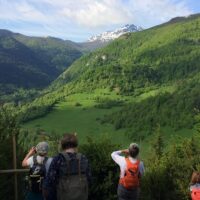 Day Trips & Excursions