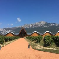Full-day Tours