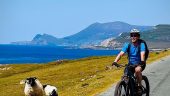 Bike Hire on Westport/ Achill Greenway