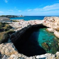Shore Excursions