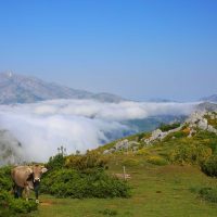 4WD, ATV & Off-Road Tours