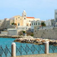 Private Sightseeing Tours