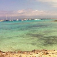 Port Transfers