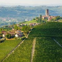 Walking & Biking Tours