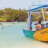 Private Sightseeing Tours