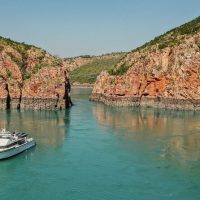 Day Cruises