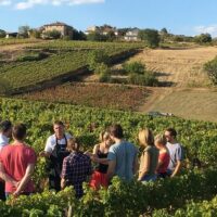 Ports of Call Tours