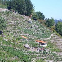 Day Trips & Excursions