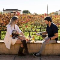 Wine Tasting & Winery Tours