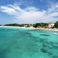 Cruises, Sailing & Water Tours