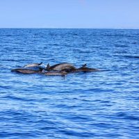 Luxury Tours