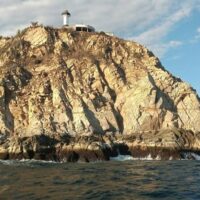 Catamaran Cruises