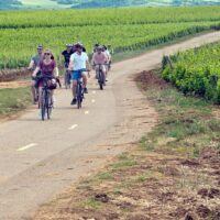 Bike & Mountain Bike Tours