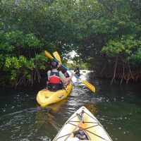 Boat Tours