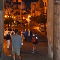 Private Sightseeing Tours