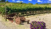 A very fun way to see Chianti
