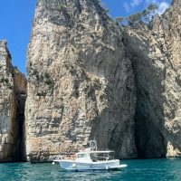 Day Cruises