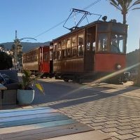 Bus & Minivan Tours