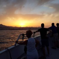 Sunset Cruises