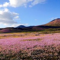 Day Trips & Excursions