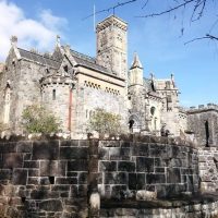Cultural Tours