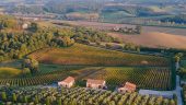 Unforgettable Wine Tasting Experience