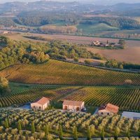 Wine Tasting & Winery Tours